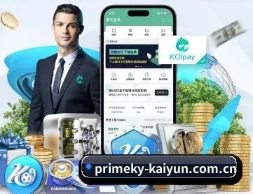开云体育官方入口 APP 深度功能